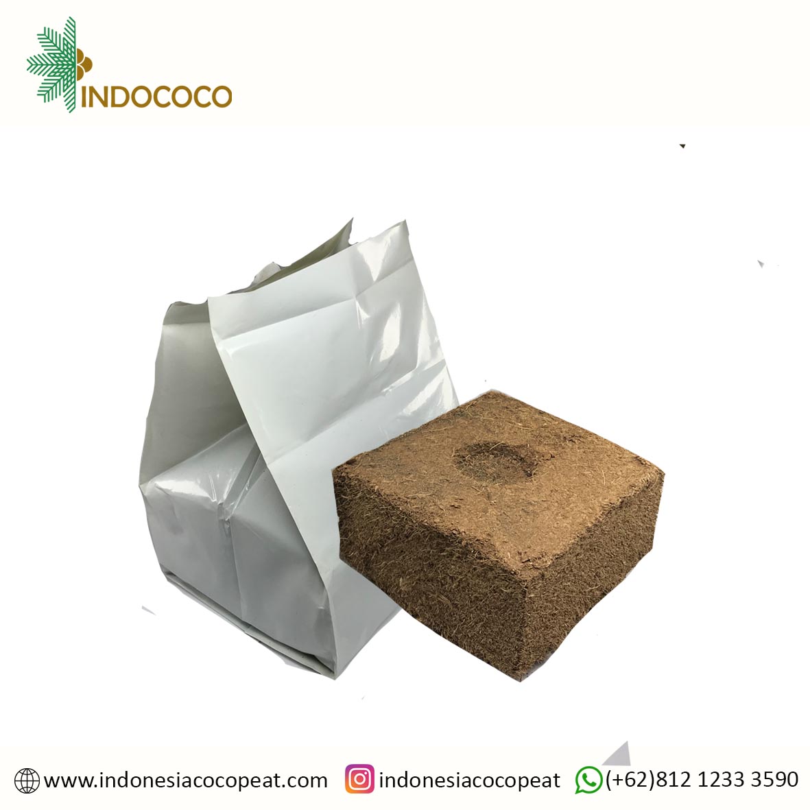 How to Plant in Grow Bag Indonesia Coco Peat, Coco Fiber, Coconut Oil