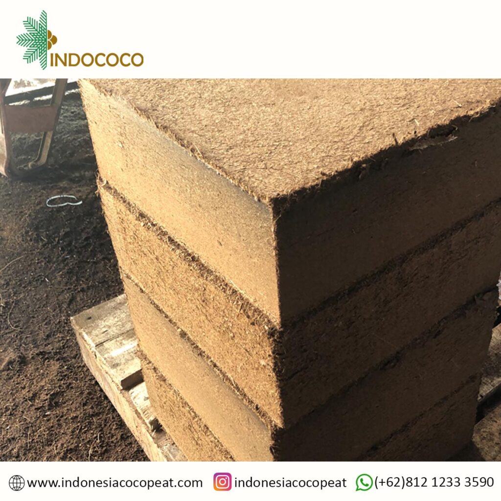 How to Use Indonesia Cocopeat Block and Price