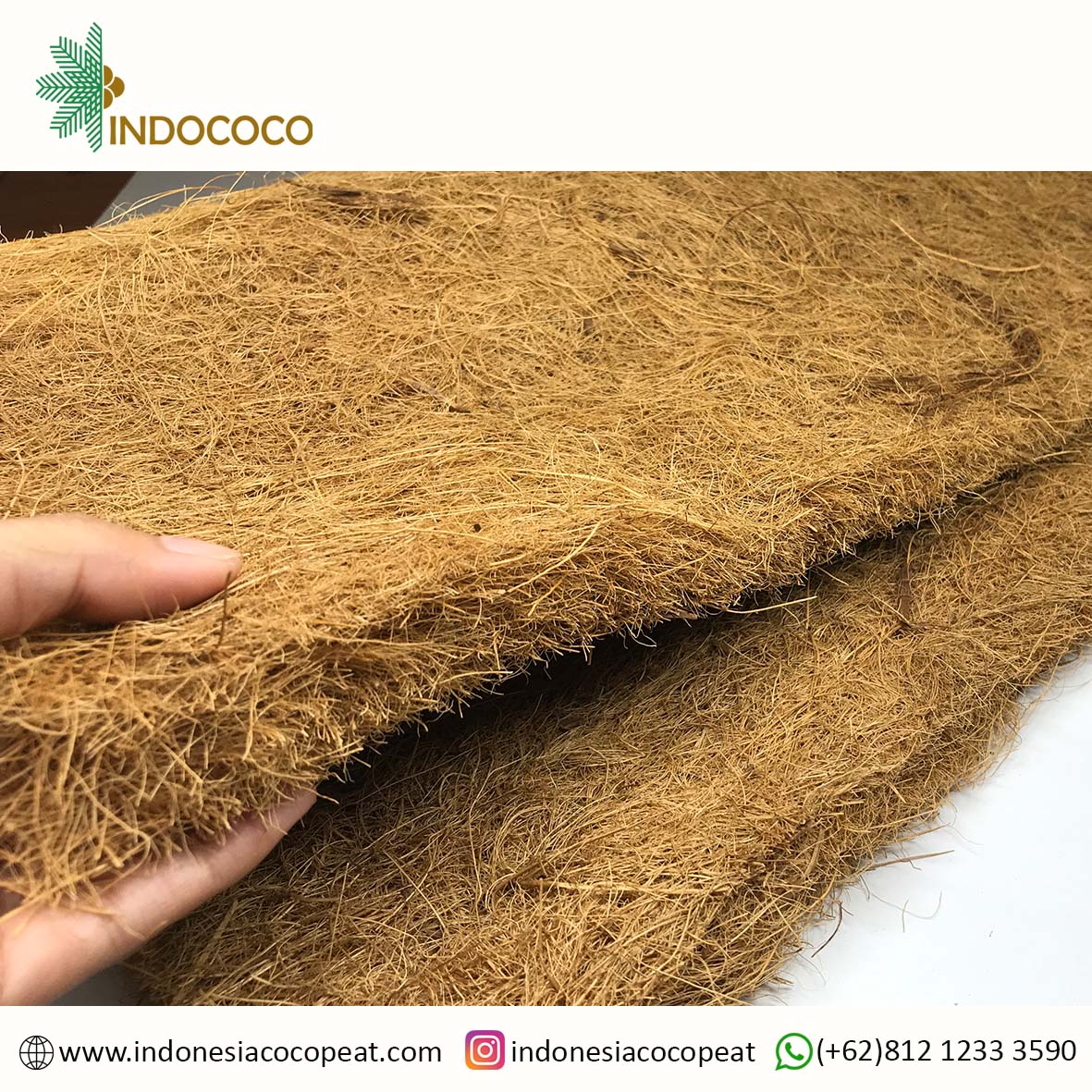 Here Are 3 Advantages Of Using Coconut Fiber Bedding! It's Called Better Than A Regular Mattress