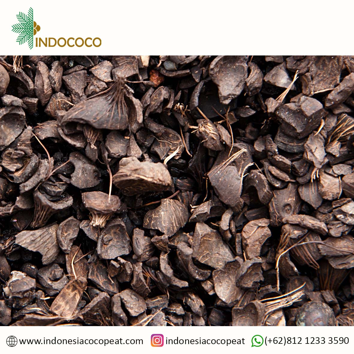 Palm Kernel Shell Uses Indonesia Coco Peat, Coco Fiber, Coconut Oil