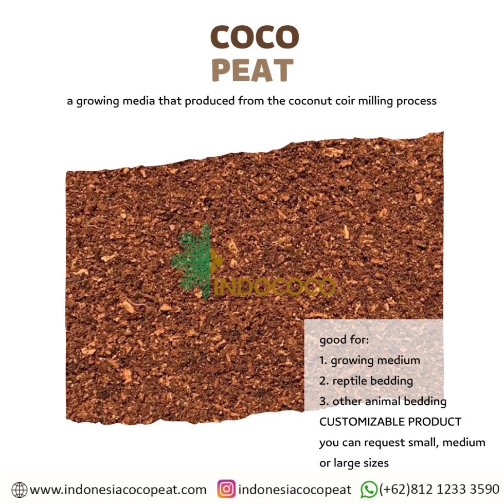How to Mix Cocopeat with Soil to Grow Plants in Pots Indonesia Coco