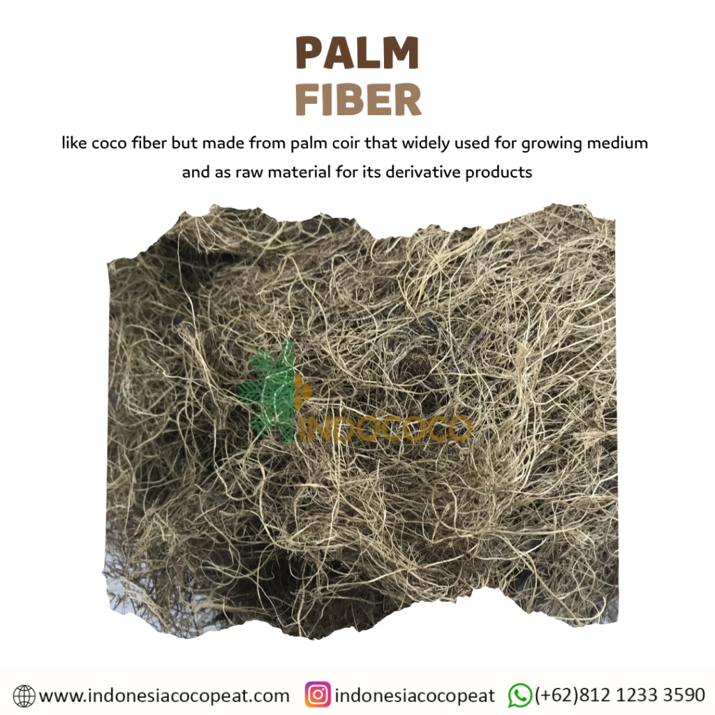 fiber from palm tree