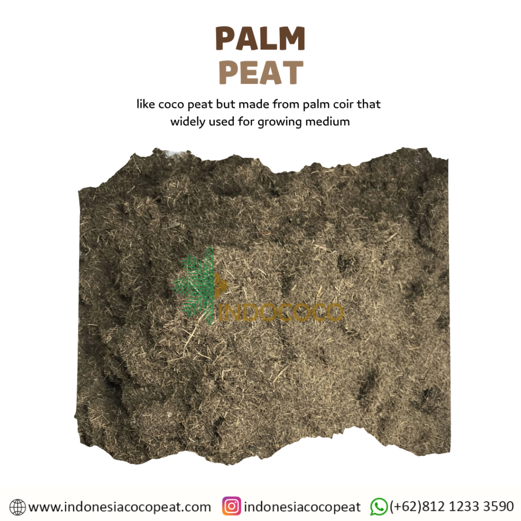 palm peat
