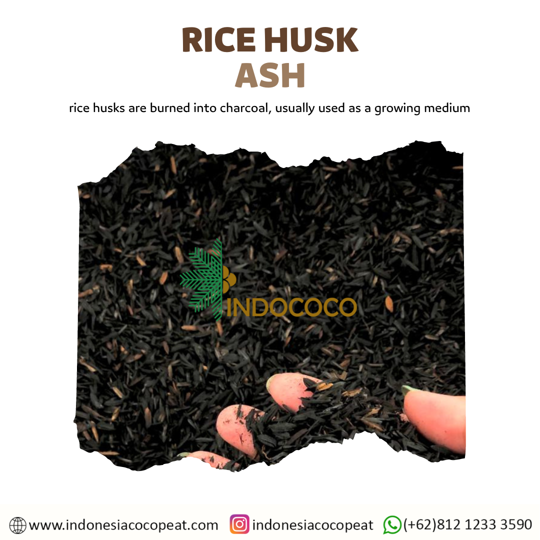 rice husk ash
