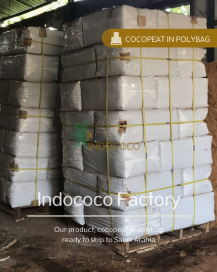 cocopeat polybag