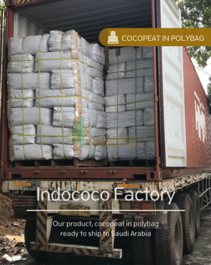 cocopeat polybag