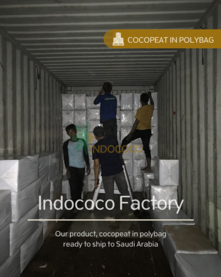 cocopeat polybag