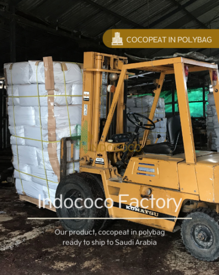 cocopeat polybag