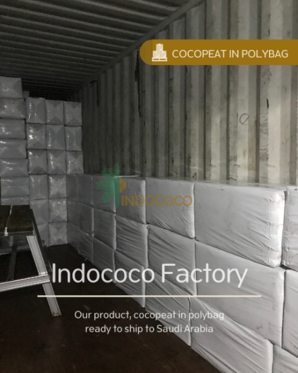 cocopeat polybag