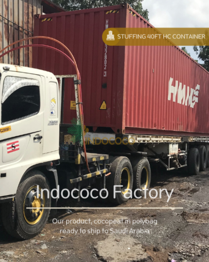 cocopeat polybag