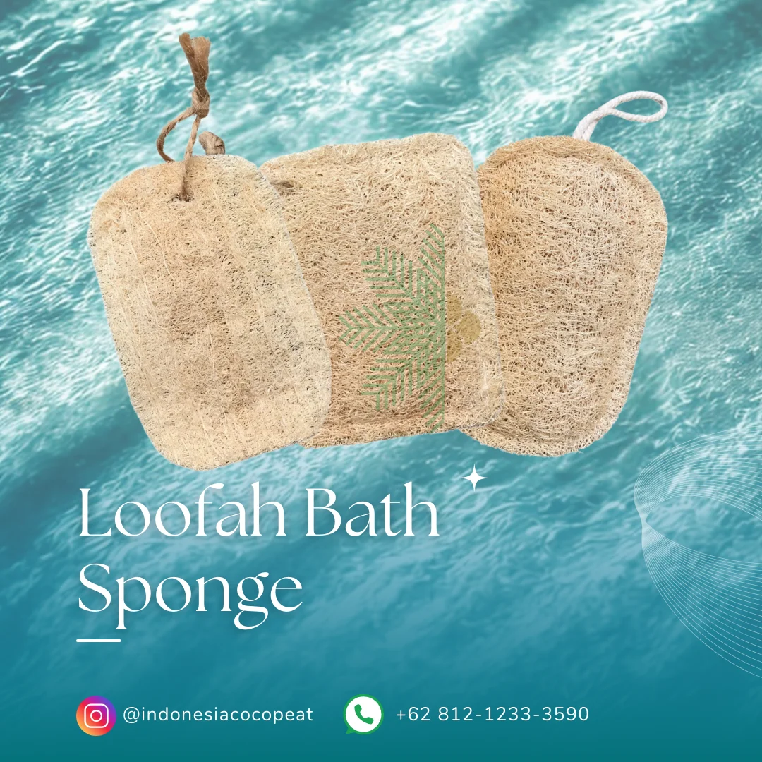 loofah and sponge