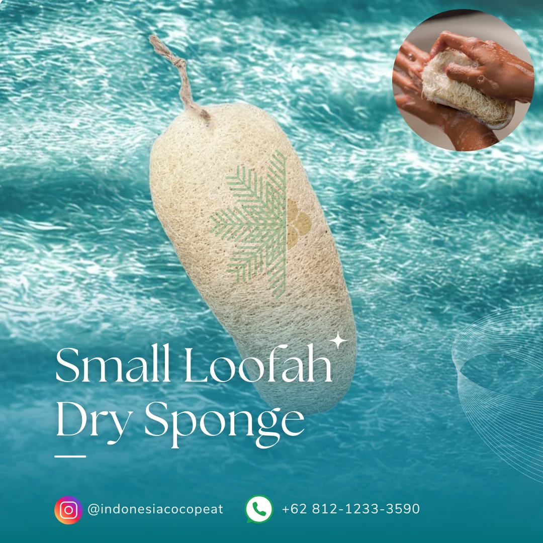 bath sponge images