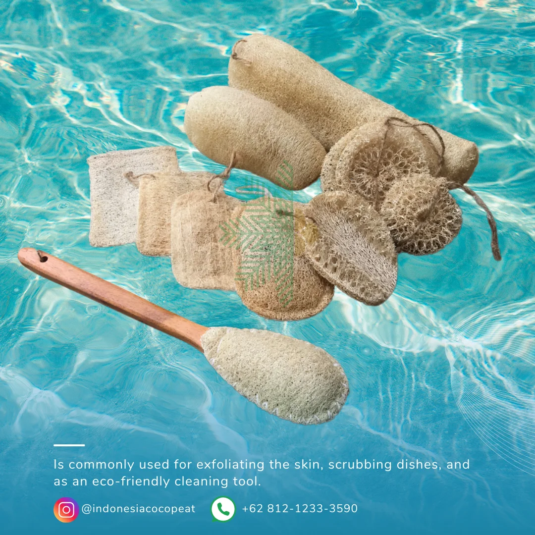 loofah sponge custome