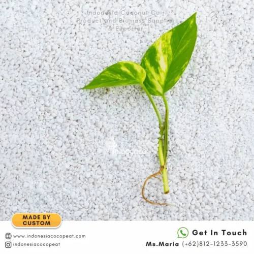 perlite good for plants