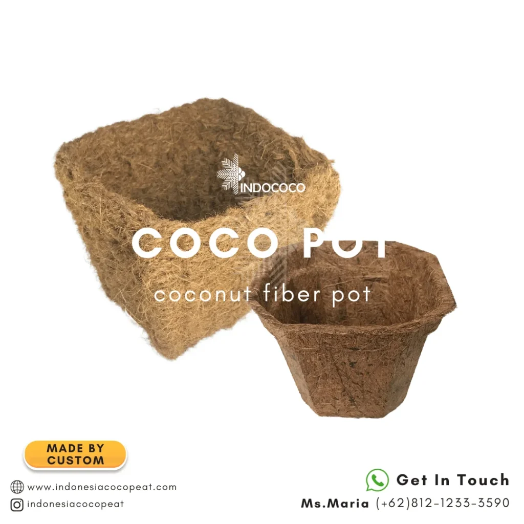 coco pots for plants