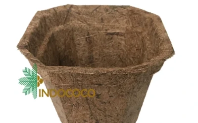 Coconut Fiber Pots A Smart Choice for Sustainable Planting