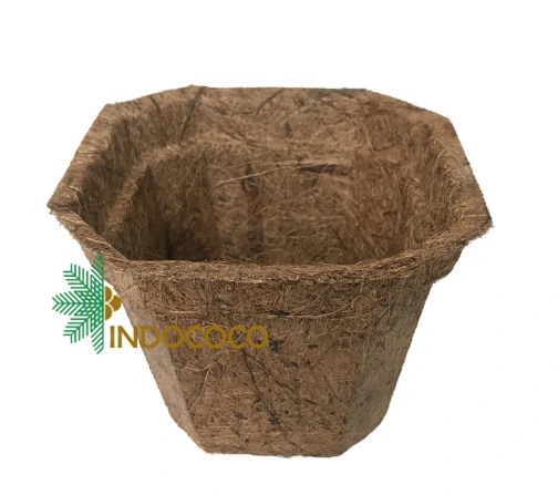 Coconut Fiber Pots A Smart Choice for Sustainable Planting