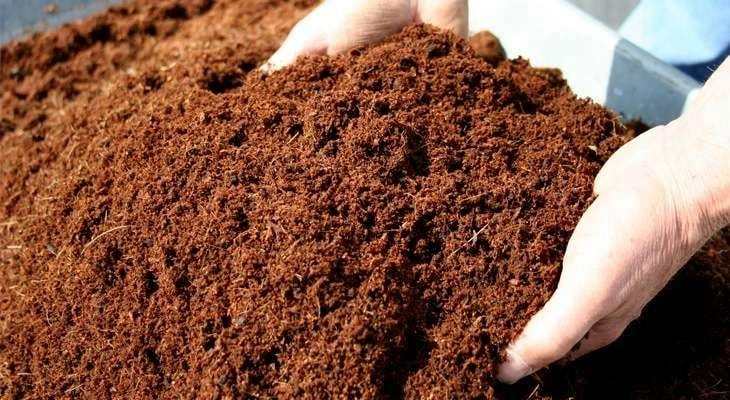 Cocopeat Brick