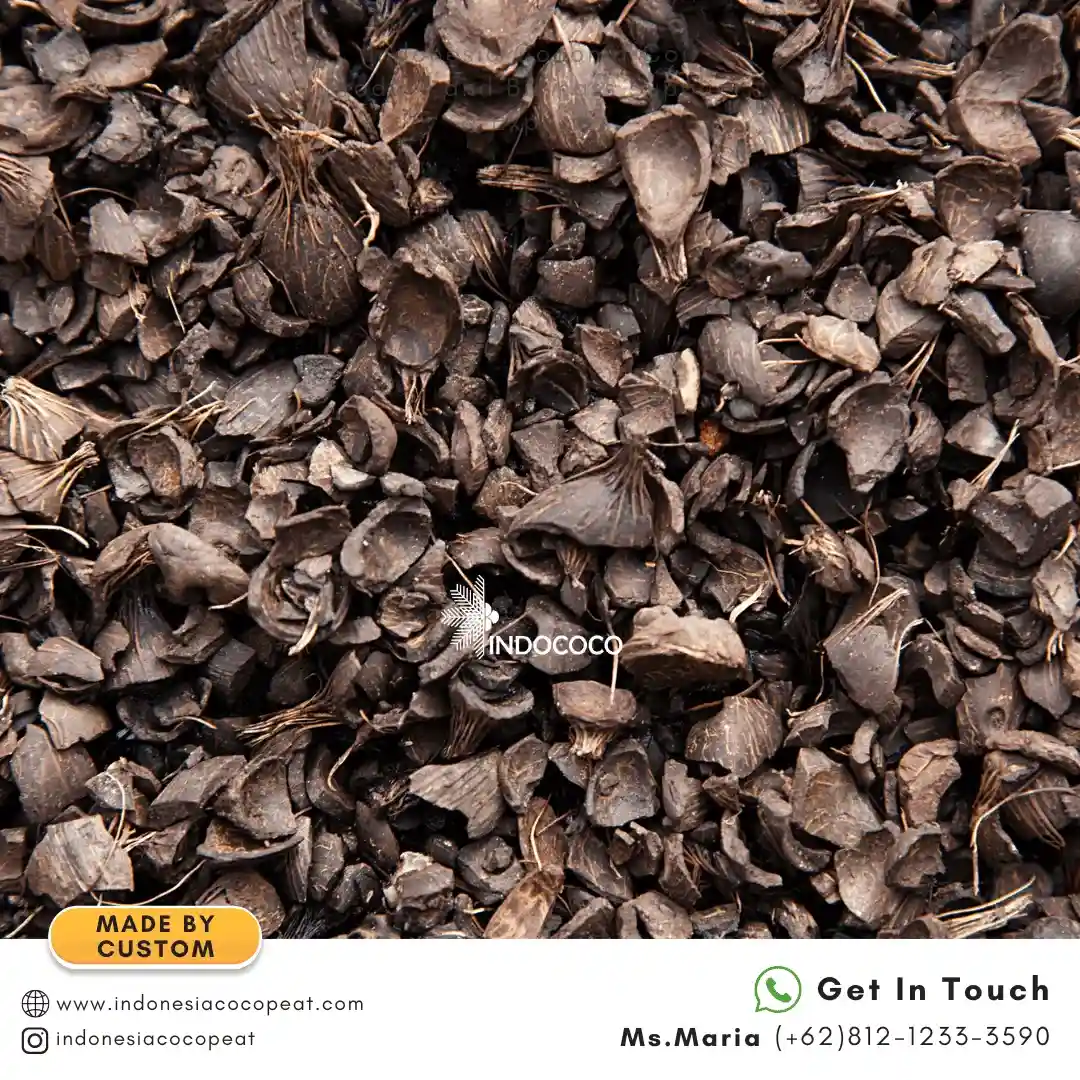 palm kernel shell for sale