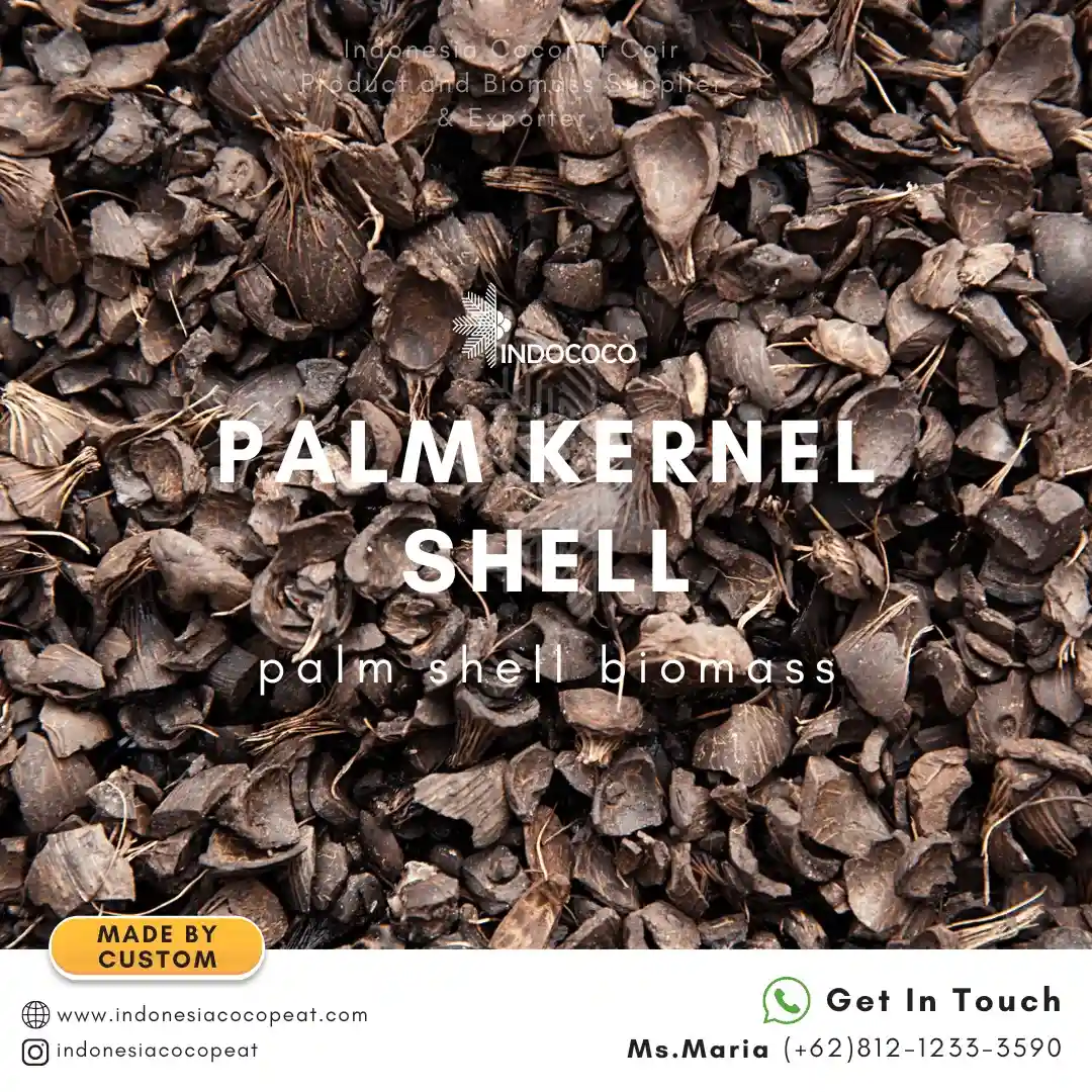 palm kernel shell indonesia