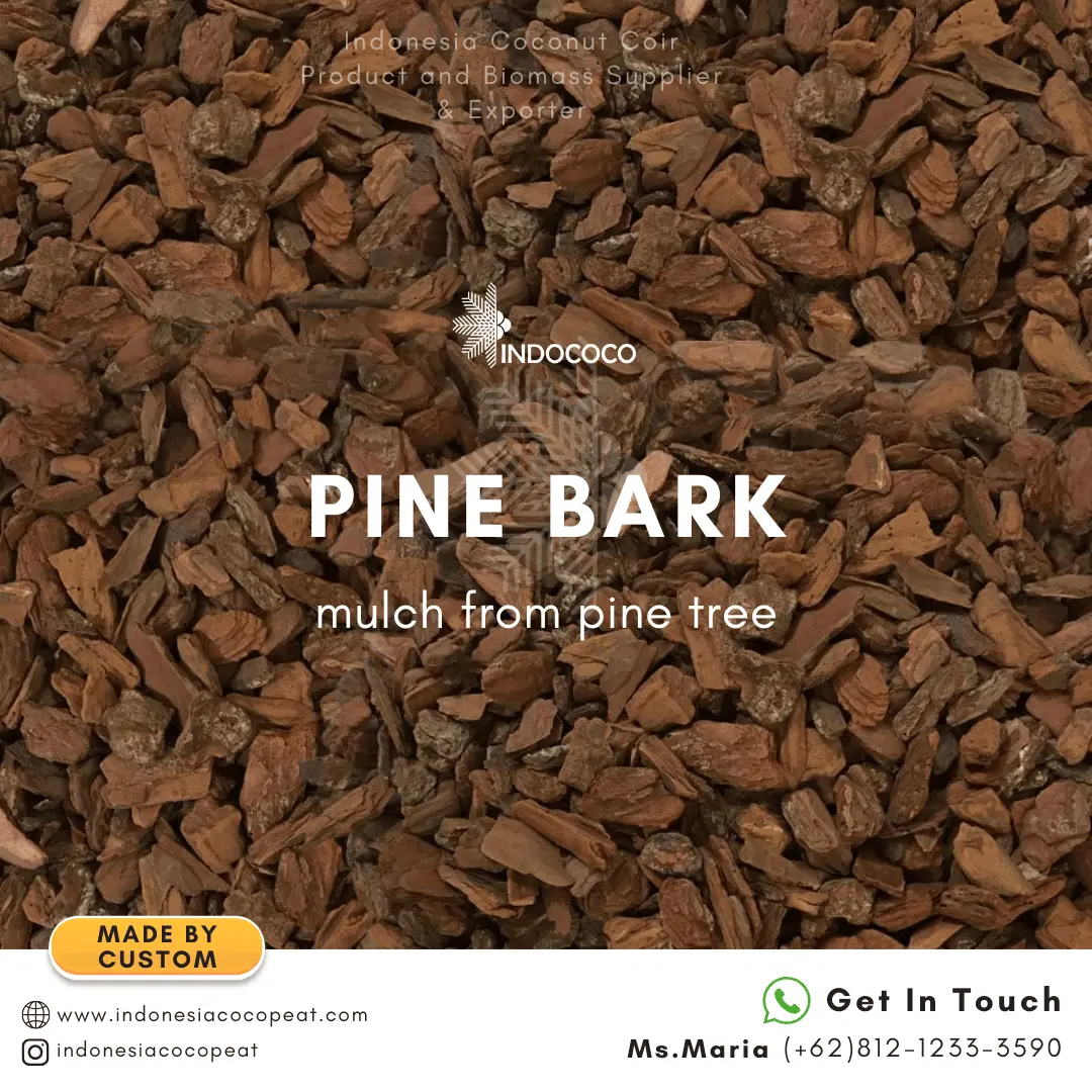 pine bark