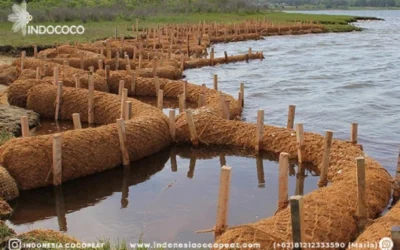 Coir Mat Suppliers: Durable and Eco-Friendly Flooring