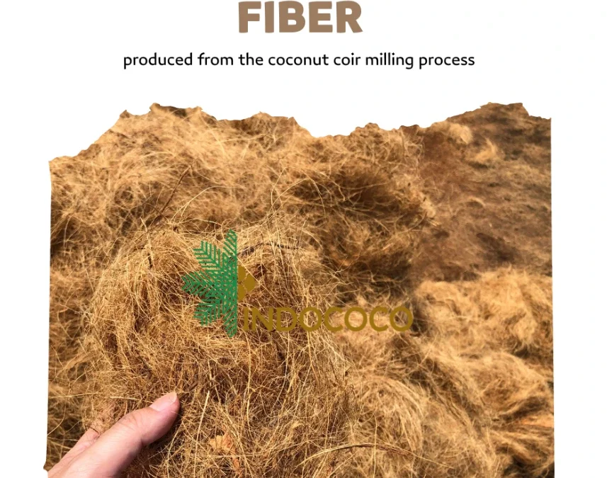 Coconut Fiber Benefits: 4 Powerful Sustainable Advantages