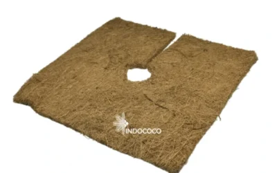 Coconut Fiber Mulch: Solution for Healthier Soil