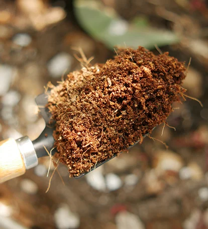 coconut coir