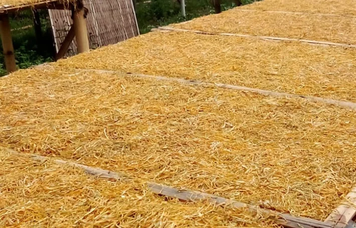 dried taro leaves