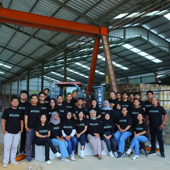 pt visi arlion internasional
