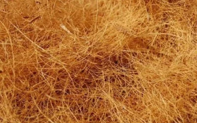 Coconut Fiber Wholesale: Smart Solution for Sustainable Supply Needs