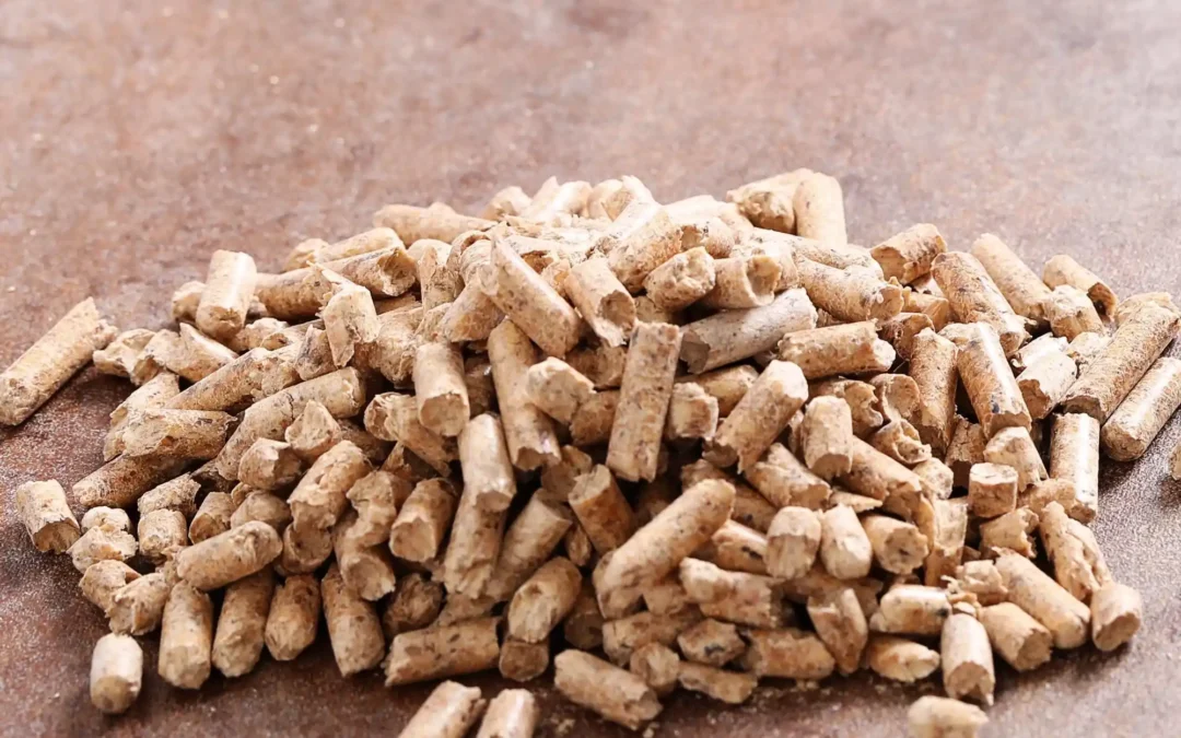 Wood Pellet: Sustainable Biomass Fuel for Modern Energy Needs