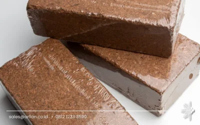 Cocopeat Block Benefits: Smart Growing Medium for Modern Agriculture