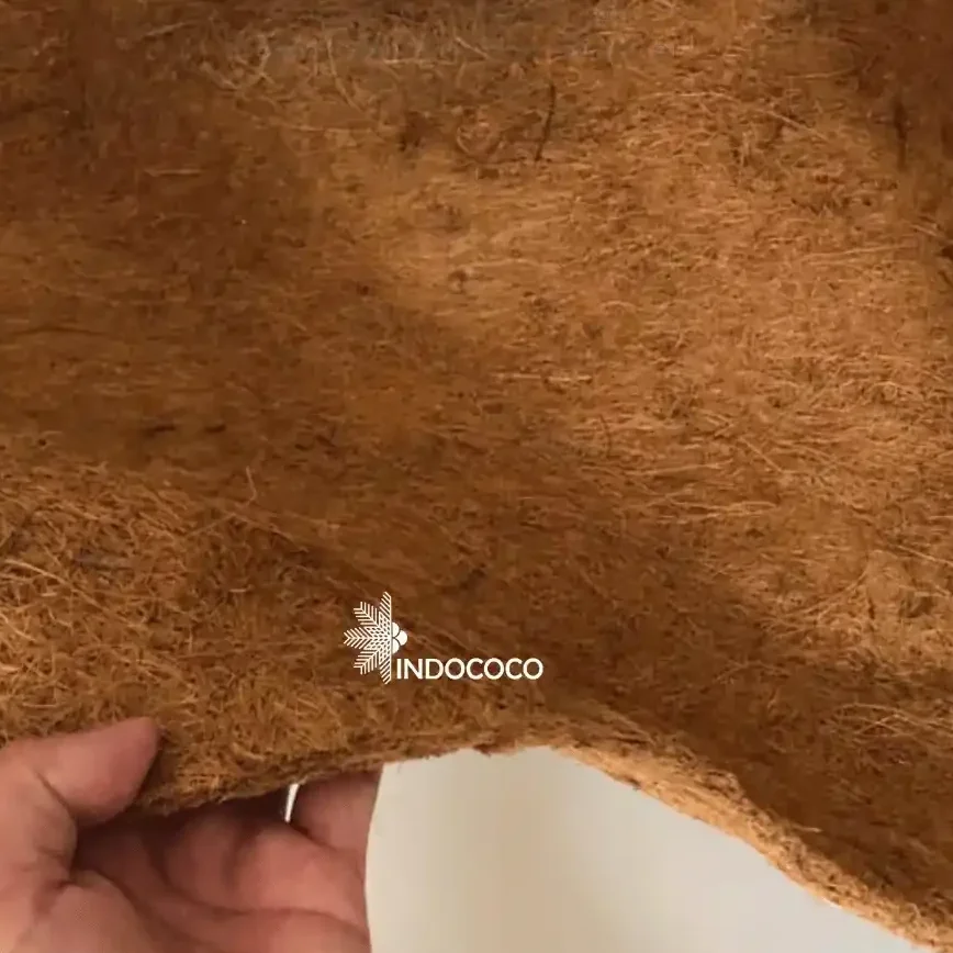 Coconut Fiber Carpet