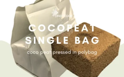 Grow Bag with Soil: Practical Solution for Easy Gardening
