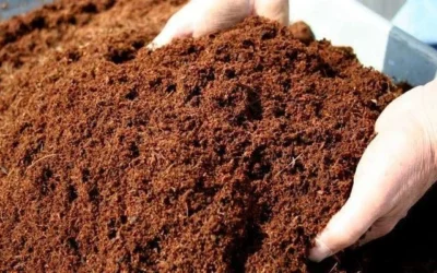 Coir Slab Sustainable Growing Medium for Modern Horticulture