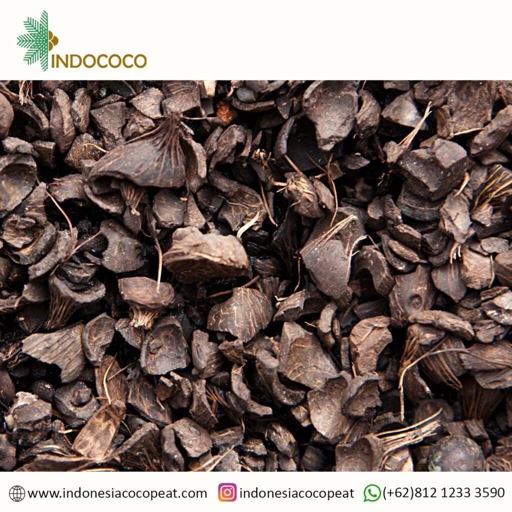 Palm Kernel Shell Benefits