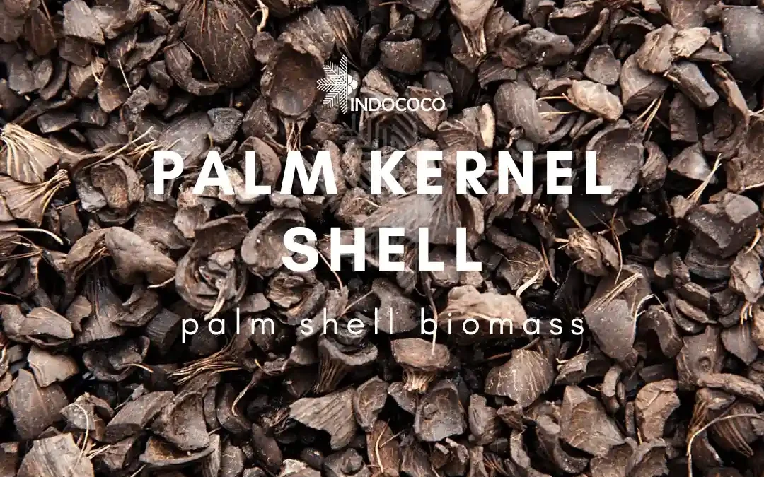 Palm Kernel Shell Benefits