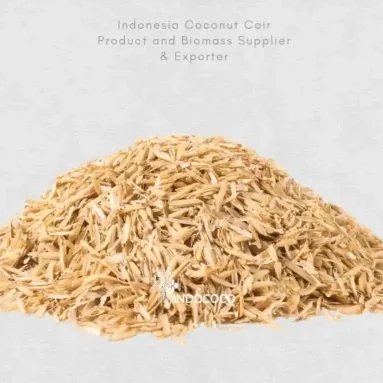 Rice Husk