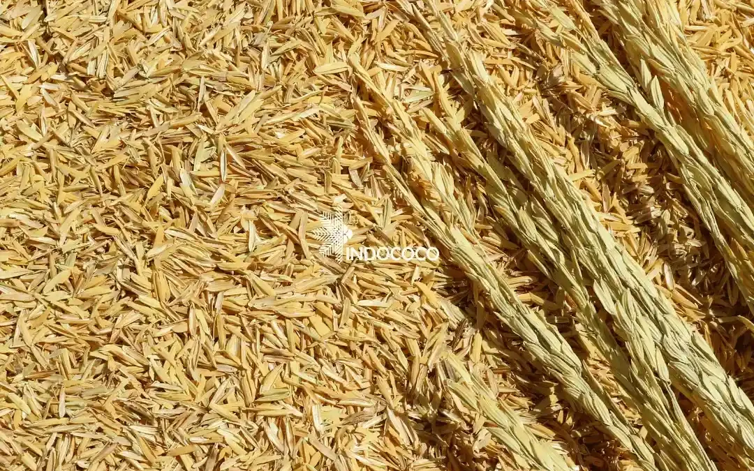 Rice Husk: A Valuable Agricultural Byproduct with Many Uses