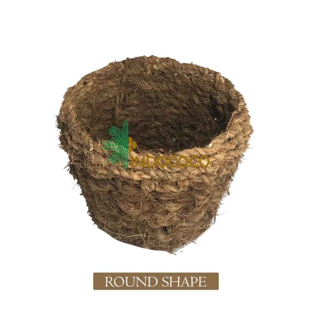Coco Pot for Sale