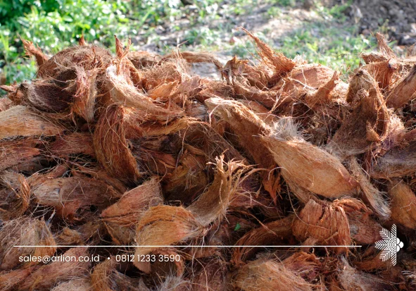 Coconut Husk Fiber for Plants