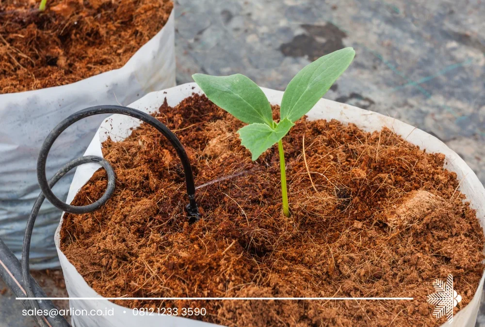 Cocopeat for Sale