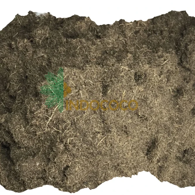 Palm Peat for Sale