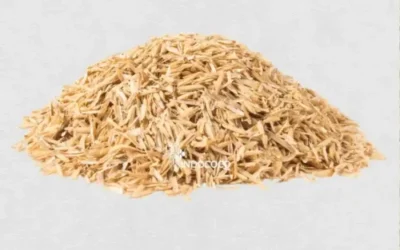 Rice Husk for Sale: Sustainable Material for Agriculture and Industry