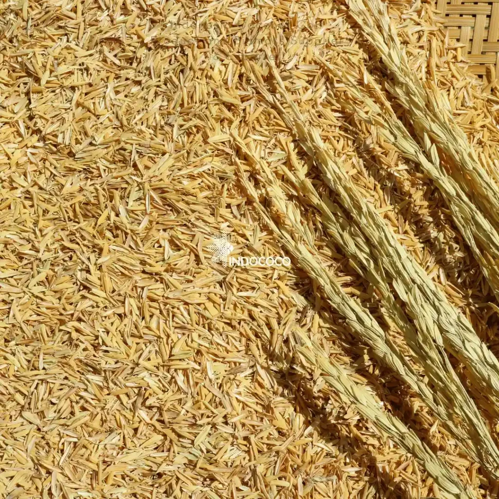 Rice Husk for Sale