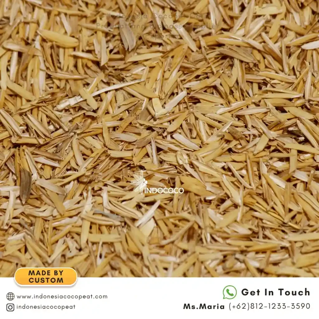 Rice Husk for Sale