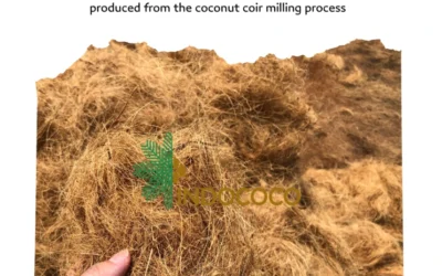 Coconut Fiber Bulk Export: Supplying Natural Materials to Global Industries