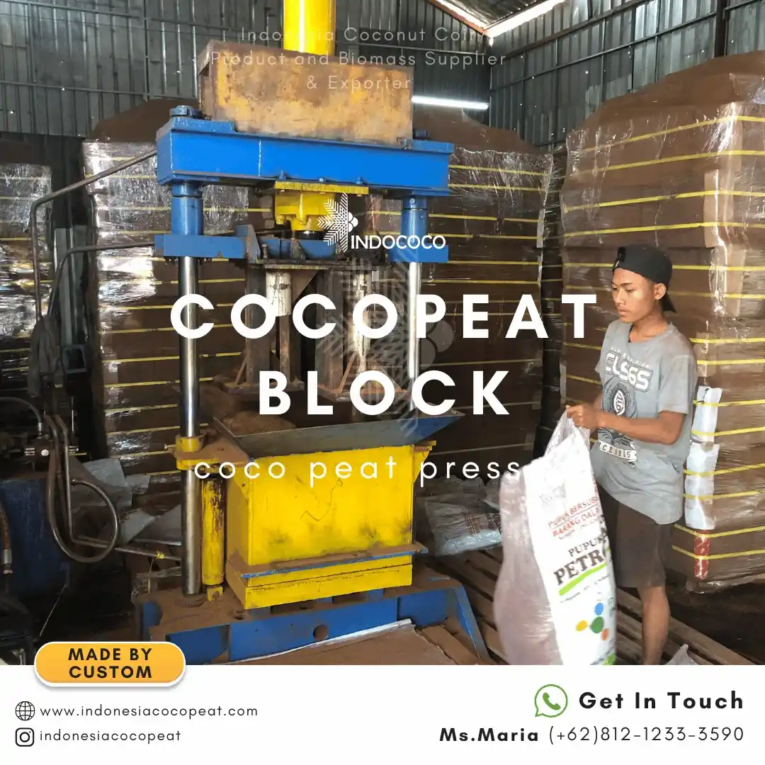 coco peat blocks supplier